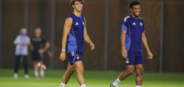 النصر يخشى التعثر الثامن: التاريخ والحسابات يلاحقان النصر في الجولة الأخيرة أمام ضمك