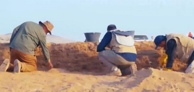 كشف أثري مذهل.. العثور على 1700 قطعة تاريخية في ميقات الجحفة الأثري