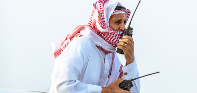 الملاك السعوديون يتصدرون صباحية الهجن في مهرجان ولي العهد – حسموا 17 من 21 شوطاً